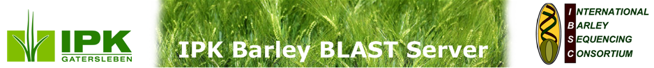 IPK Barley BLAST Server